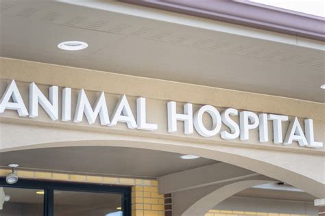 affordable animal hospitals near me.